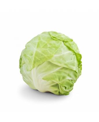 BEIJING CABBAGE (北京白菜) - 1.00kg