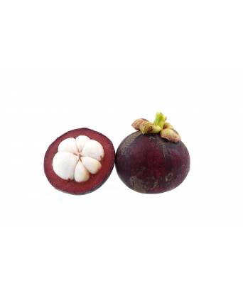 MANGOSTEEN (山竹) - 1.00kg