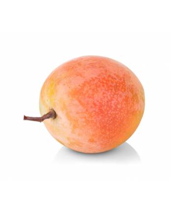 Fruits