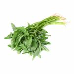 Vegetables