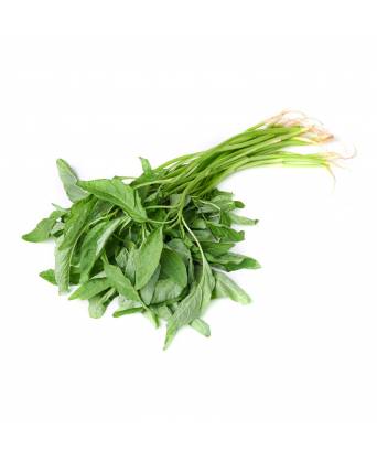 SHARP SPINACH (夏普菠菜) - 300.00g