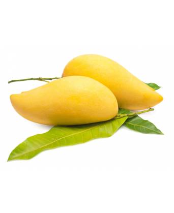 HARUMANIS MANGO (哈鲁玛尼斯芒果) - 1.00kg