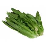 Vegetables