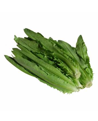 YOU MAI CAI (油麥菜) - 250.00g