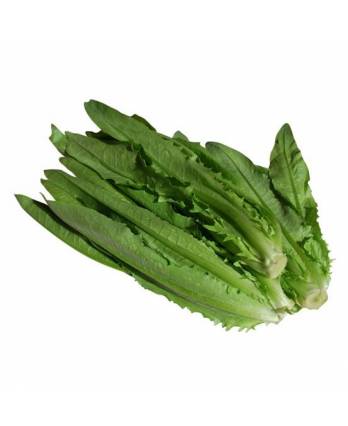 Vegetables