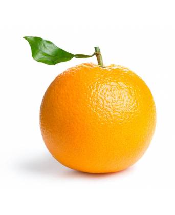 USA/AUS ORANGE