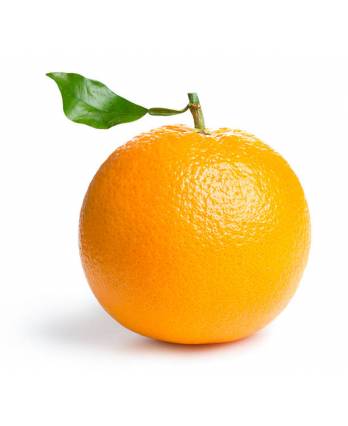 Fruits