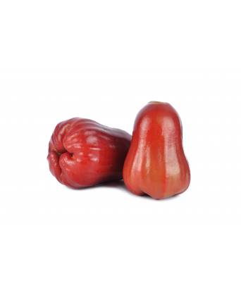 THAI ROSE APPLE (蓮霧)