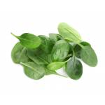Vegetables