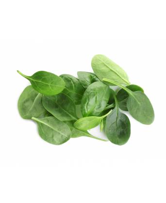 AUS BABY SPINACH (西洋小菠菜 ) - 100.00g