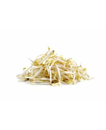 BEAN SPROUTS (豆芽) - 200.00g