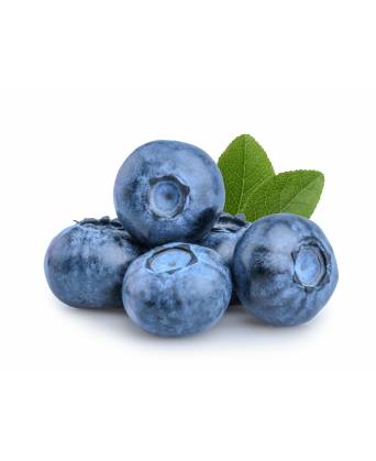 BLUEBERRY (蓝莓) - 125.00g