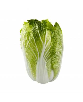 LONG CABBAGE (大白菜) - 1.00kg