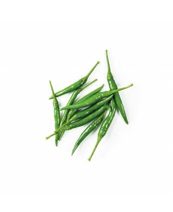 CHILLI PADI GREEN (小青辣椒 ) - 100.00g
