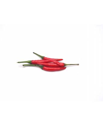 RED CHILLI PADI (小红辣椒) - 100.00g