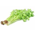 Vegetables