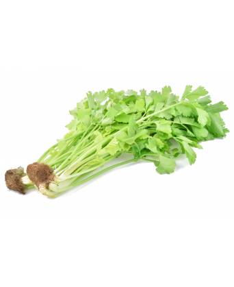 CHINESE CELERY (芹菜)