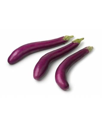 EGGPLANT JAPANESE (NASU) (日本小茄子) - 250.00g