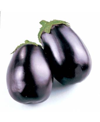 ROUND EGGPLANT (茄子) - 250.00g