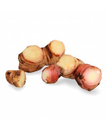 GINGER BLUE (GALANGAL/LENGKUAS) (南姜)