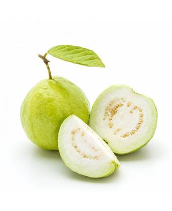 GUAVA (番石榴) - 1.00kg