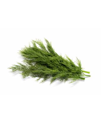 ROSEMARY HERBS (迷迭香香草) - 50.00g
