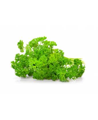 ENGLISH PARSLEY (英国芫荽) - 50.00g