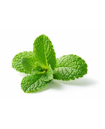 MINT LEAF (薄荷叶) - 50.00g