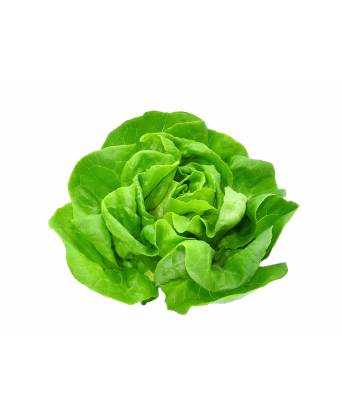 BUTTERHEAD LETTUCE (牛油生菜) - 200.00g