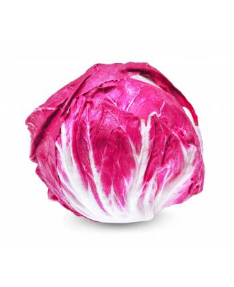 LETTUCE RED CHICORY (RADICCHIO) (红白苦生菜)