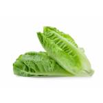 Vegetables