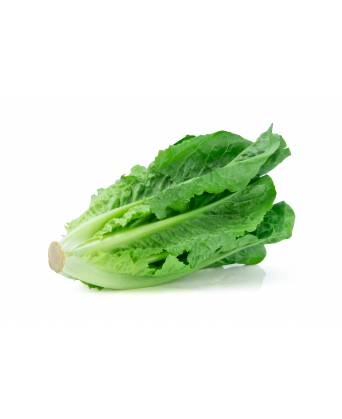 ROMAINE LETTUCE (罗曼生菜 / 香麦) - 250.00g