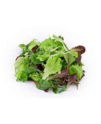MESCLUN SALAD (MIXED LEAF SALAD) (西洋综合菜类沙拉) - 250.00g