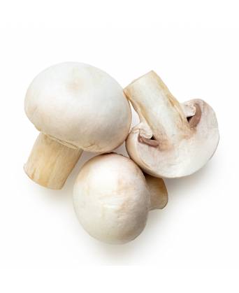 MUSHROOM BUTTON WHITE (白蘑菇) - 200.00g