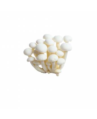 MUSHROOM SHIMEIJI WHITE (白玉菇 ) - 150.00g