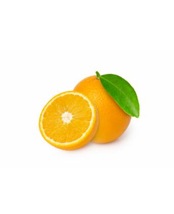 SOUTH AFRICA/EGYPT ORANGE (L)