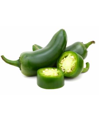 PEPPER JALAPENO (墨西哥辣椒)