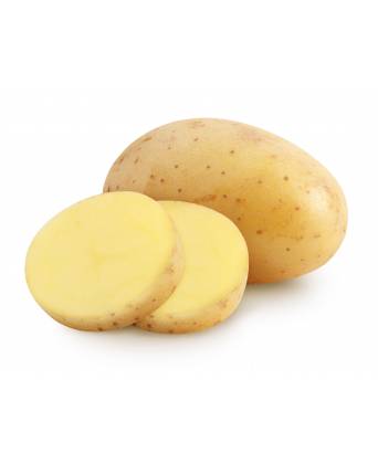 POTATO CHINA (马铃薯) - 1.00kg