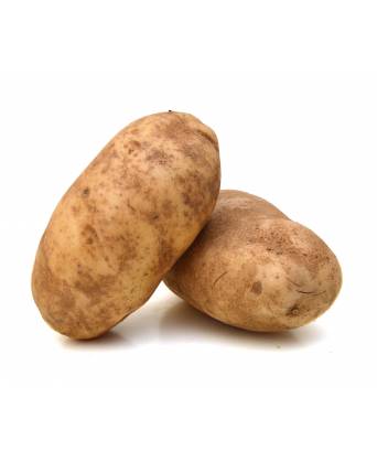 RUSSET POTATO (美国褐色马铃薯) - 1.00kg