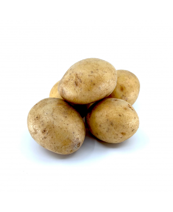 POTATO HOLLAND (馬鈴薯) - 1.00kg