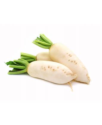 RADISH WHITE (白萝卜 ) - 1.00kg