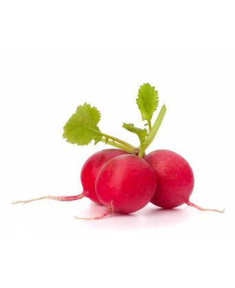 MINI RED RADISH (小圆水萝卜(包装)) - 100.00g