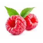 Fruits