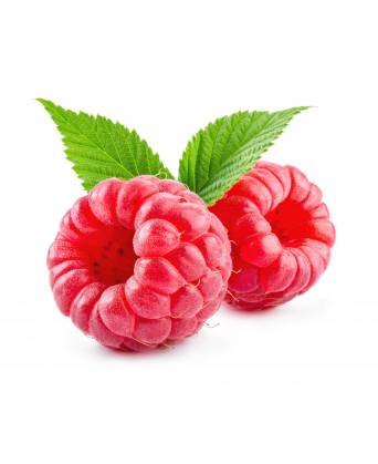 RASPBERRY USA (红梅) - 170.00g