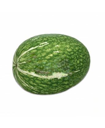 SHARKSFIN MELON (魚翅瓜)