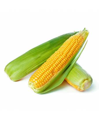 SWEET CORN (PAIR) (玉米对)