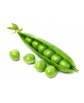 SWEET PEA (HONEY/SUGAR PEA) (甜豆) - 150.00g