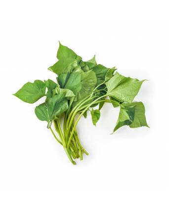 SWEET POTATO LEAF BABY (番薯叶苗)
