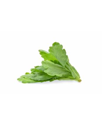 Vegetables