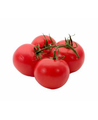 TOMATO (番茄) - 500.00g
